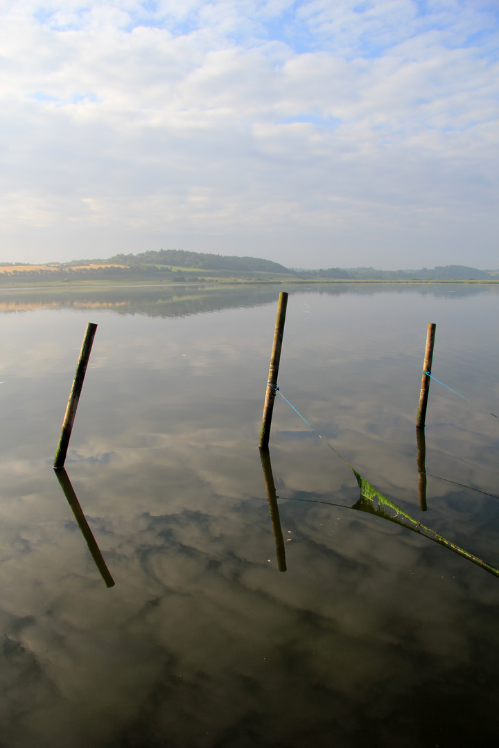 Lumière matinale