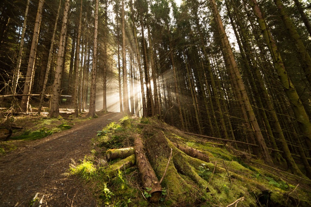 Lumière matinale à Ballachulish - Ecosse