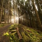 Lumière matinale à Ballachulish - Ecosse