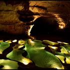 Lumiere Show in einer Grotte (1)