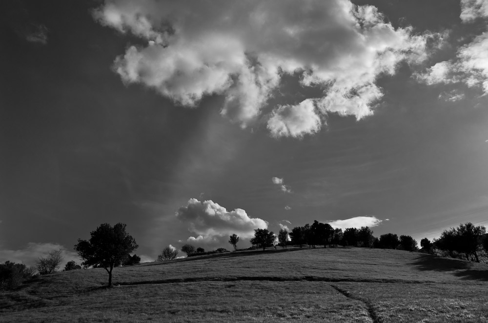 Lumière sur la prairie