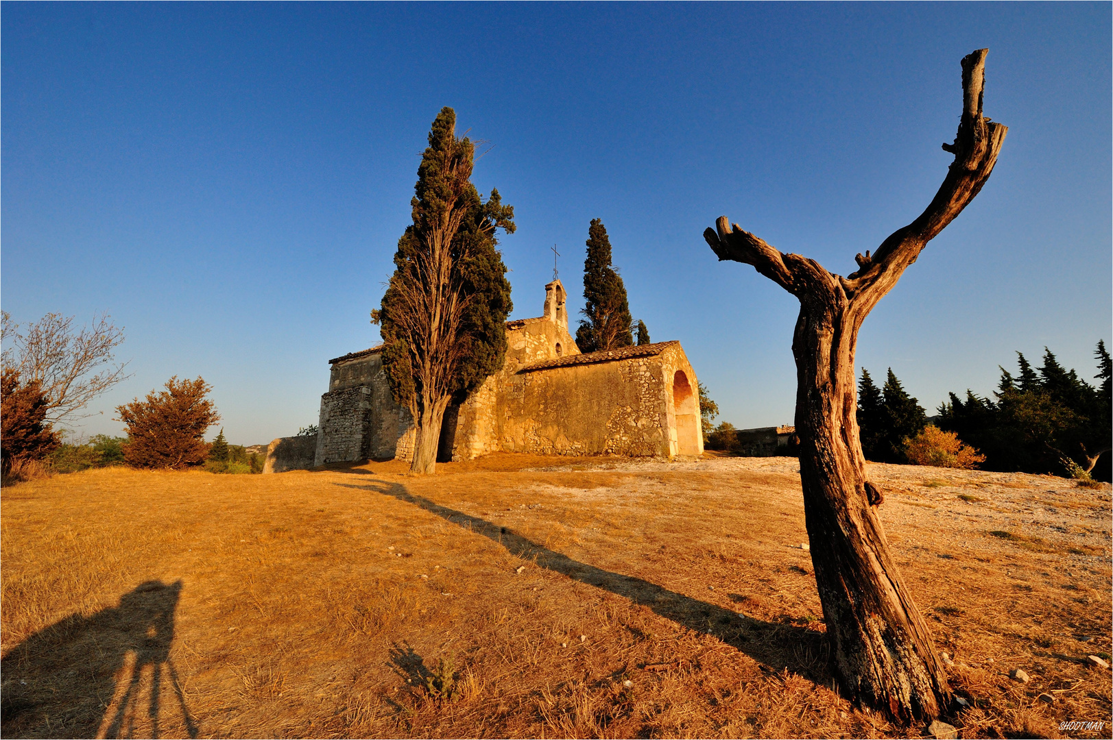 Lumière sur la provençale