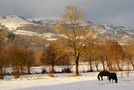 Cantal