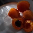 Lumière sur les abricots