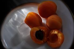 Lumière sur les abricots