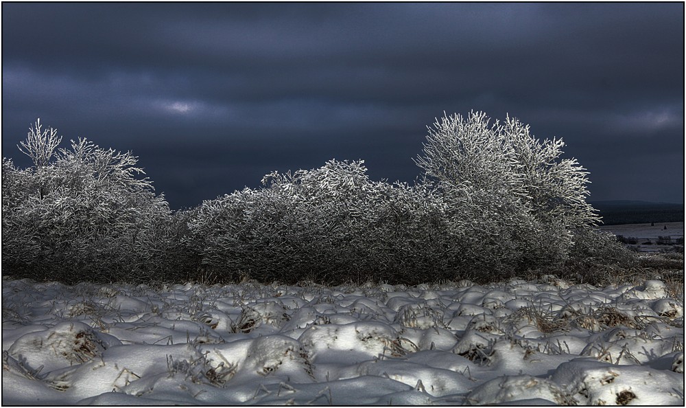 Lumière sur les Hautes Fagnes