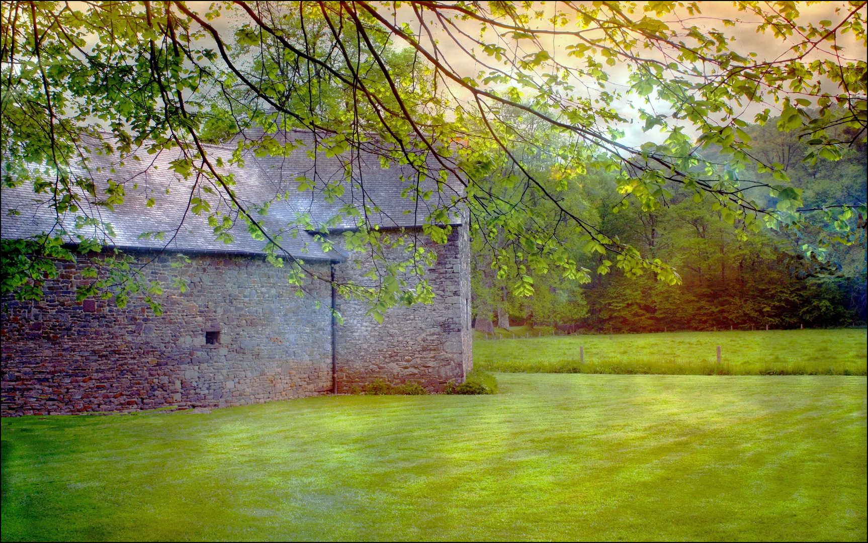 Lumières dans le pré