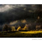 Lumières d'automne