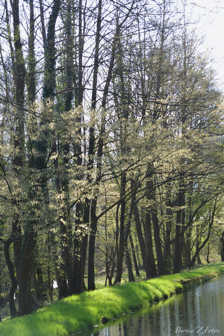 Lumières de printemps