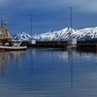 Lumières d'Islande XI