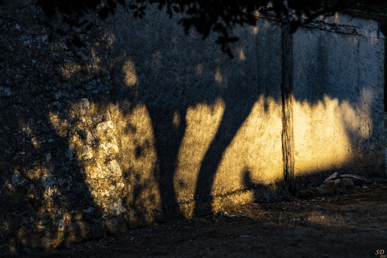 Lumières rasantes et ombres chinoises 