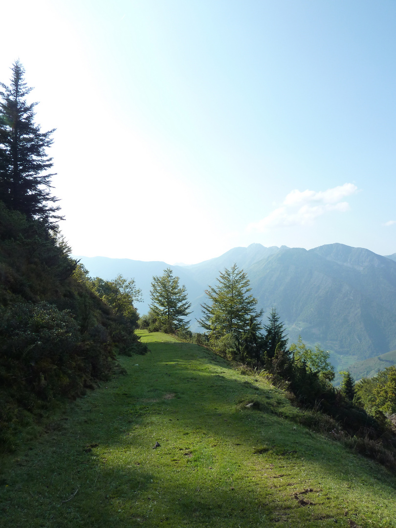 Lumières sur les chemins