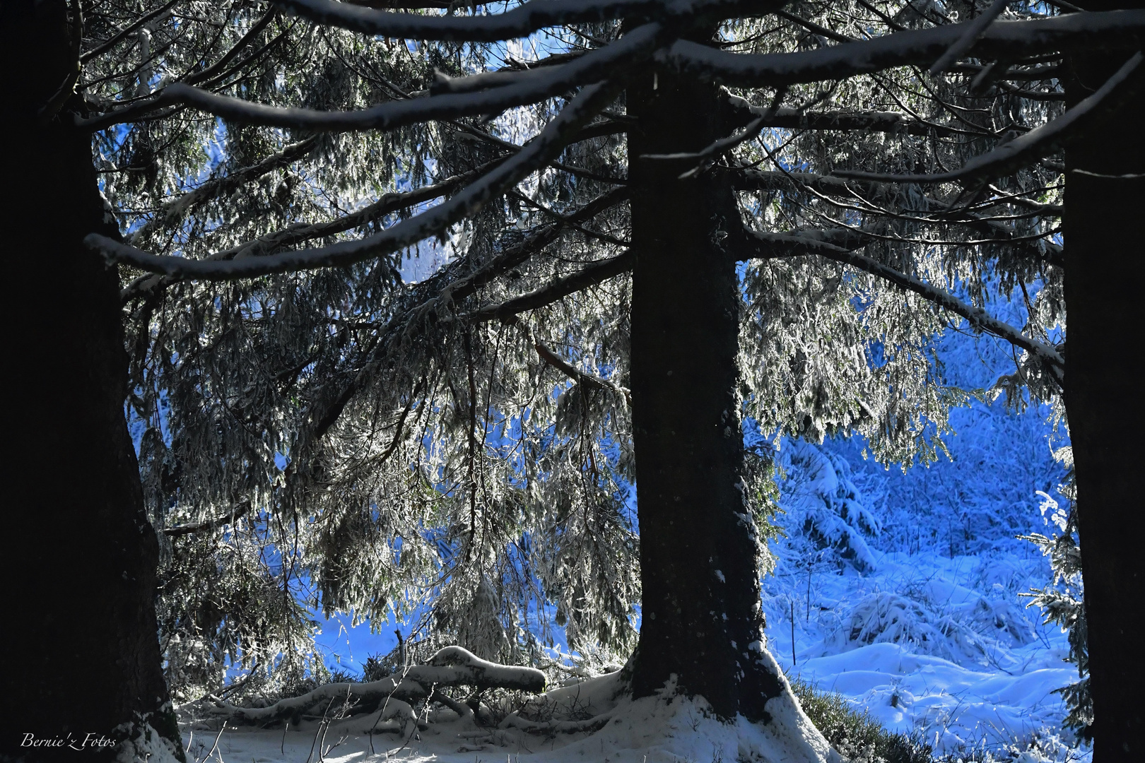 Lumières sur neige