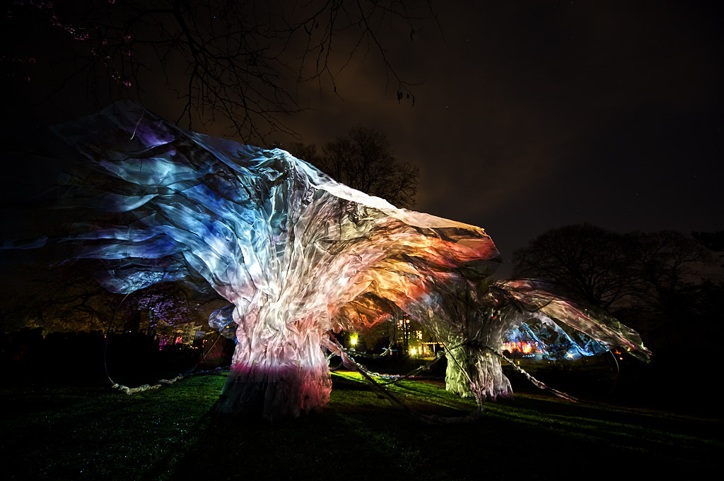 Luminale 2012 - Engelstrompete - Datura I