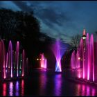 Luminale 2012 - Palmengarten 1