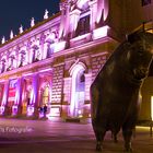 Luminale 2014 - Börse