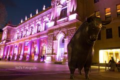 Luminale 2014 - Börse