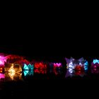 Luminale 2014 Palmengarten Kleiner Weiher