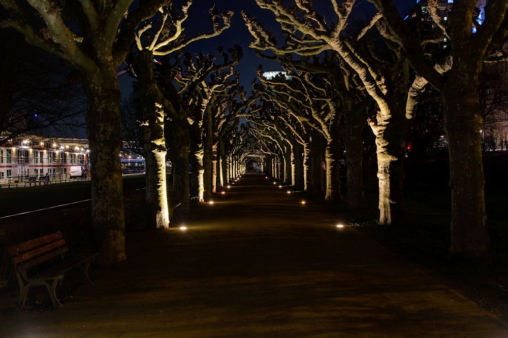 Luminale 2016 Nizza