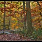 Luminances des ocres d'automne