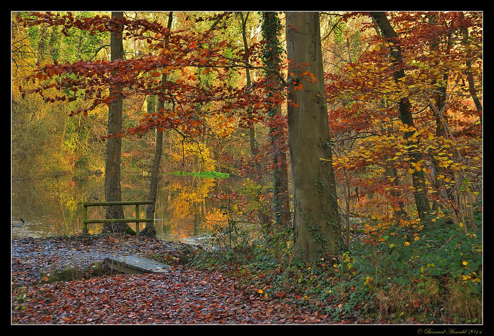 Luminances des ocres d'automne