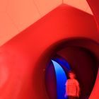 Luminarium rot