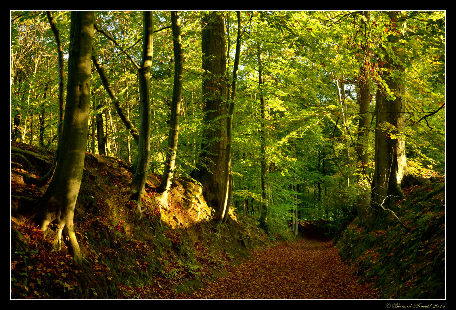 Lumineuse descente