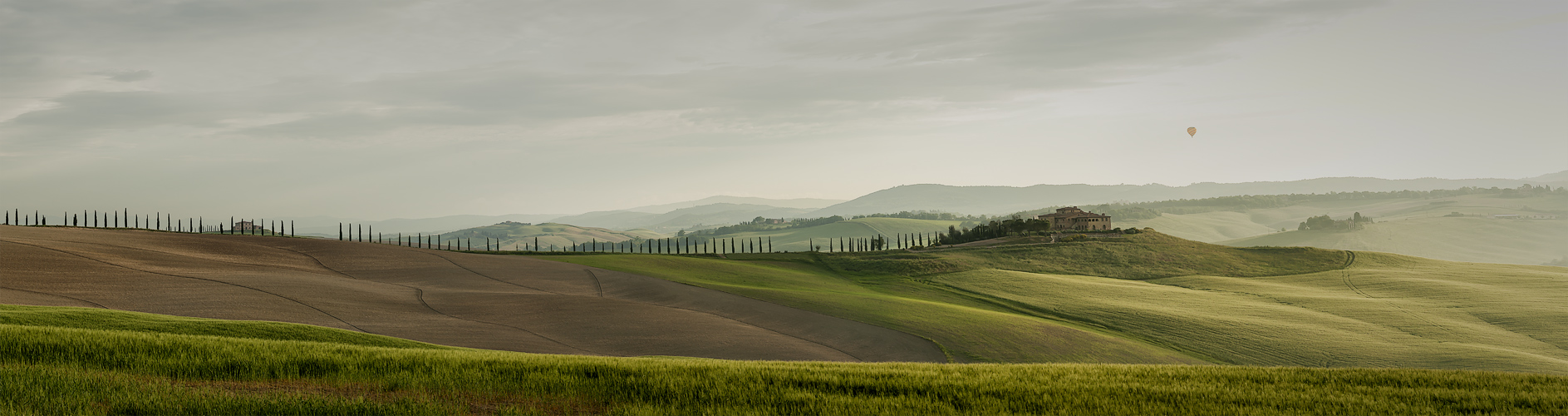 luminosa di mattina