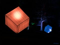 luminous dice