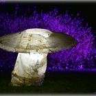 luminous mushroom