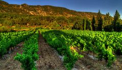 LUMIÈRE SUR LE LUBERON