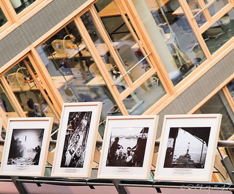 Lumix-Fotofestival 2014