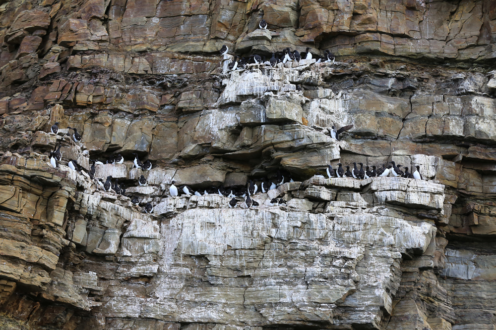 Lummen-Felsen