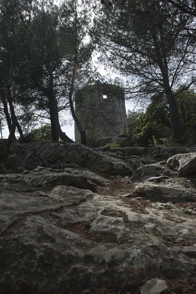 L'un des Quatres Moulins de Fontvieille