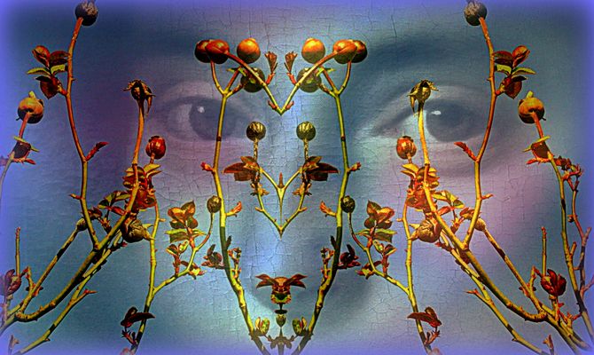 L'un des visages de la Nature