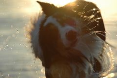 luna beim Baden