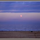 Luna che sorge dal mare... Sunrise Moon