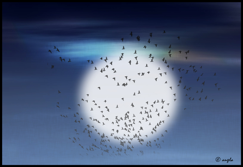 Luna con pájaros