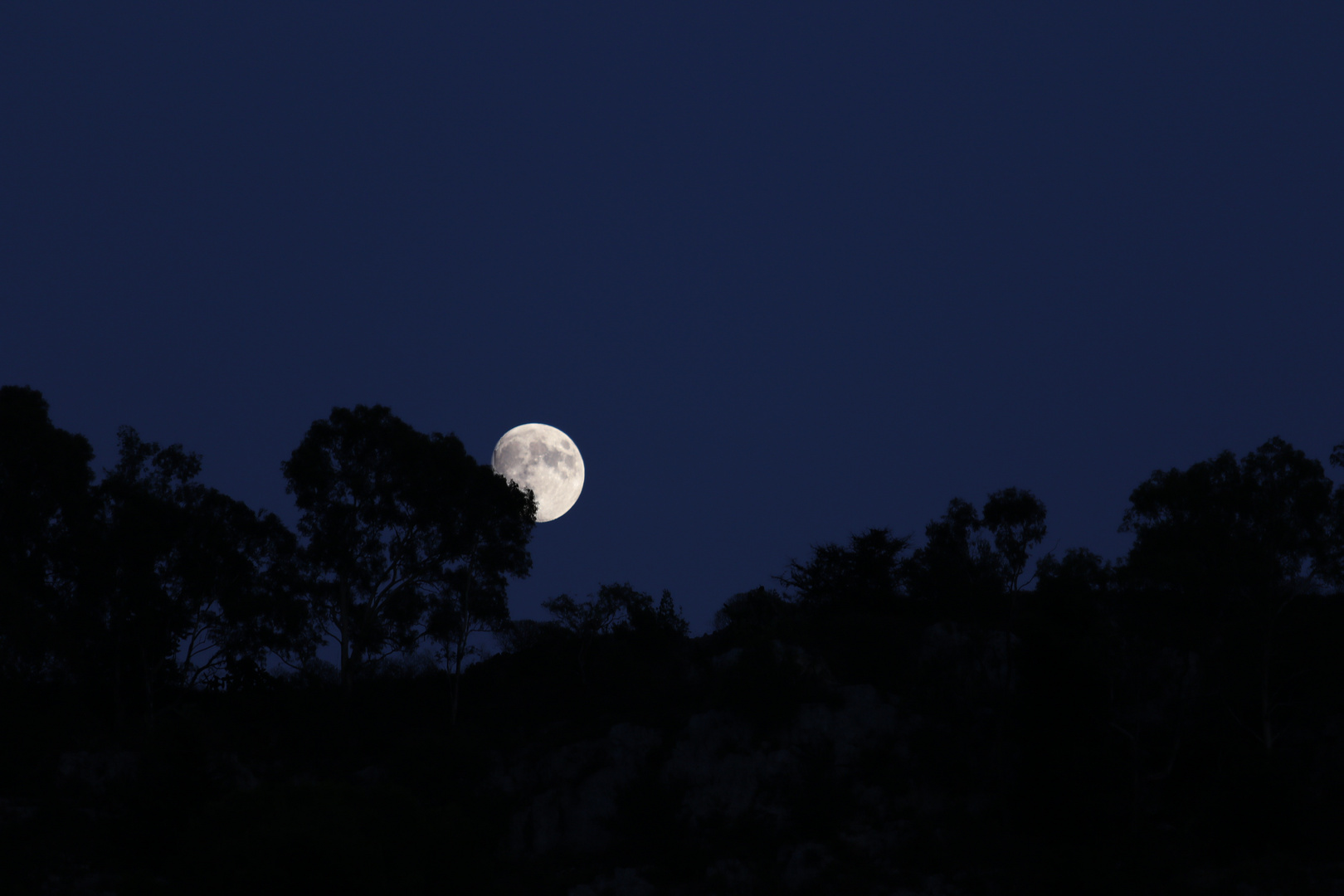 luna crescente Foto Immagini paesaggi, fotografia astronomica, luna