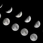 Luna crescente 2016