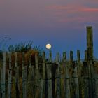 Luna da spiaggia