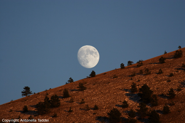 Luna d'autunno