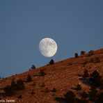 Luna d'autunno