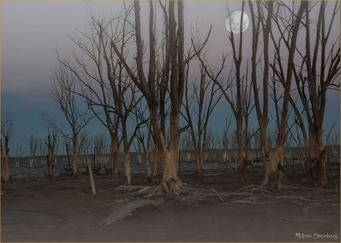 Luna de Epecuen