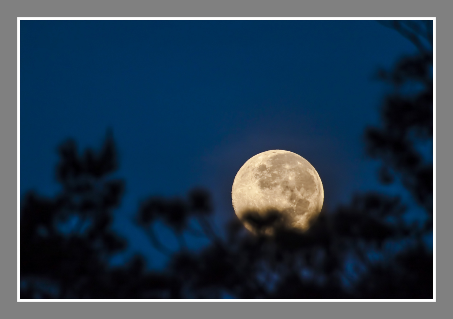 Luna de juliio