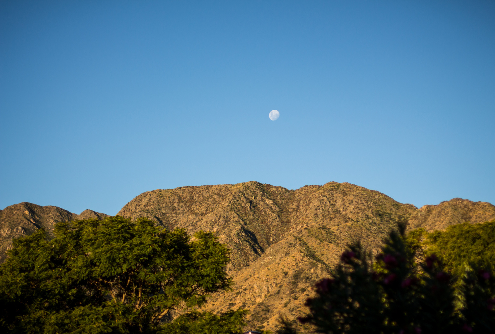 Luna de los cerros