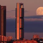 Luna de Noviembre 2016