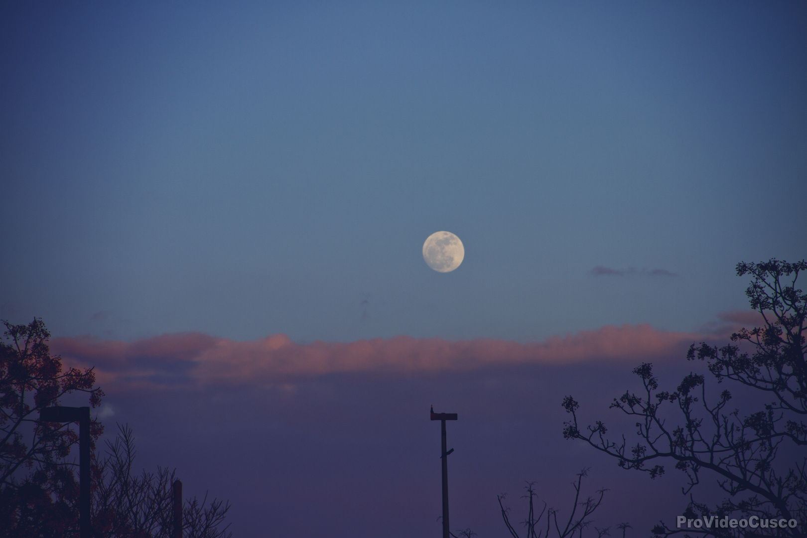 Luna de verano