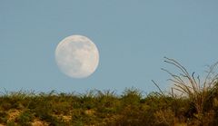 Luna del Semidesierto Queretano