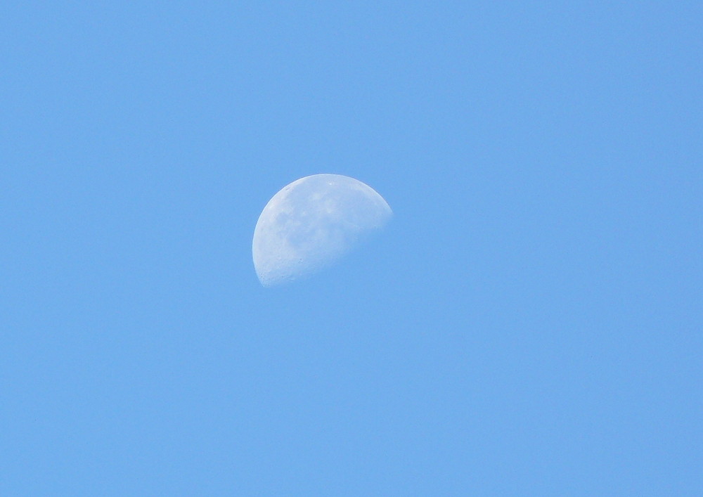 Luna di giorno